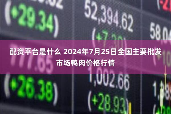 配资平台是什么 2024年7月25日全国主要批发市场鸭肉价格行情