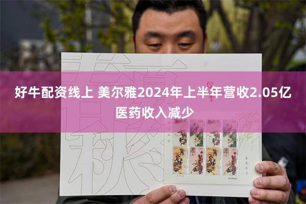 好牛配资线上 美尔雅2024年上半年营收2.05亿 医药收入减少