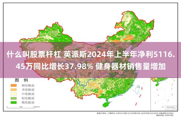 什么叫股票杆杠 英派斯2024年上半年净利5116.45万同比增长37.98% 健身器材销售量增加