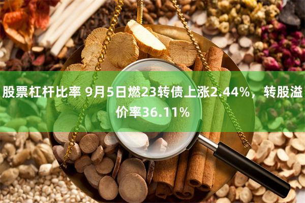 股票杠杆比率 9月5日燃23转债上涨2.44%，转股溢价率36.11%