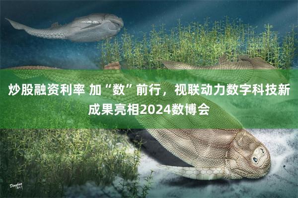 炒股融资利率 加“数”前行，视联动力数字科技新成果亮相2024数博会