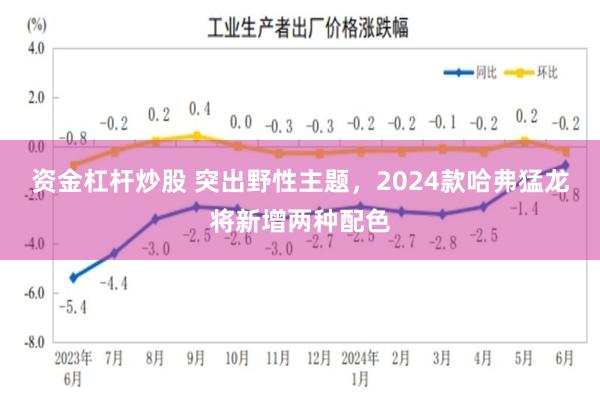 资金杠杆炒股 突出野性主题，2024款哈弗猛龙将新增两种配色