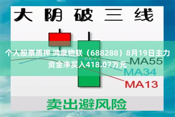 个人股票质押 鸿泉物联（688288）8月19日主力资金净买入418.07万元