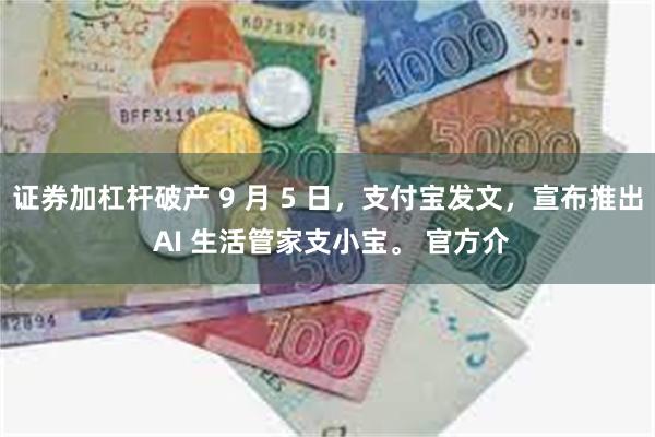 证券加杠杆破产 9 月 5 日，支付宝发文，宣布推出 AI 生活管家支小宝。 官方介