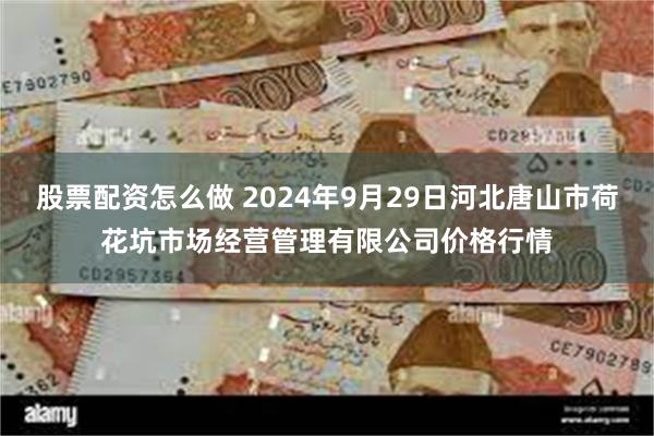 股票配资怎么做 2024年9月29日河北唐山市荷花坑市场经营管理有限公司价格行情