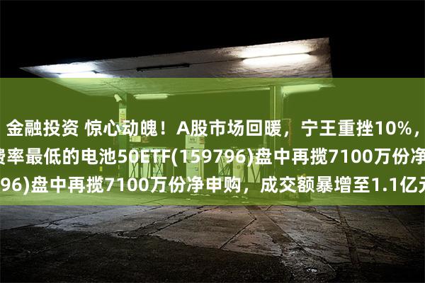 金融投资 惊心动魄！A股市场回暖，宁王重挫10%，同品类中规模最大、费率最低的电池50ETF(159796)盘中再揽7100万份净申购，成交额暴增至1.1亿元