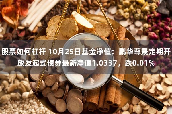 股票如何杠杆 10月25日基金净值：鹏华尊晟定期开放发起式债券最新净值1.0337，跌0.01%