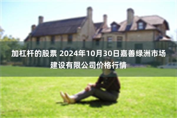 加杠杆的股票 2024年10月30日嘉善绿洲市场建设有限公司价格行情