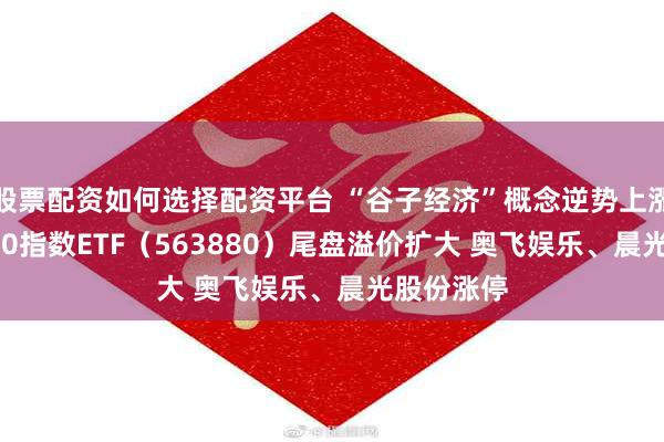 股票配资如何选择配资平台 “谷子经济”概念逆势上涨 中证A500指数ETF（563880）尾盘溢价扩大 奥飞娱乐、晨光股份涨停