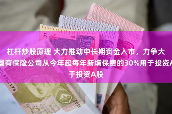 杠杆炒股原理 大力推动中长期资金入市，力争大型国有保险公司从今年起每年新增保费的30%用于投资A股